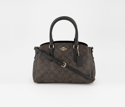 Lillie Carryall bag in signature coated canvas with smooth leather